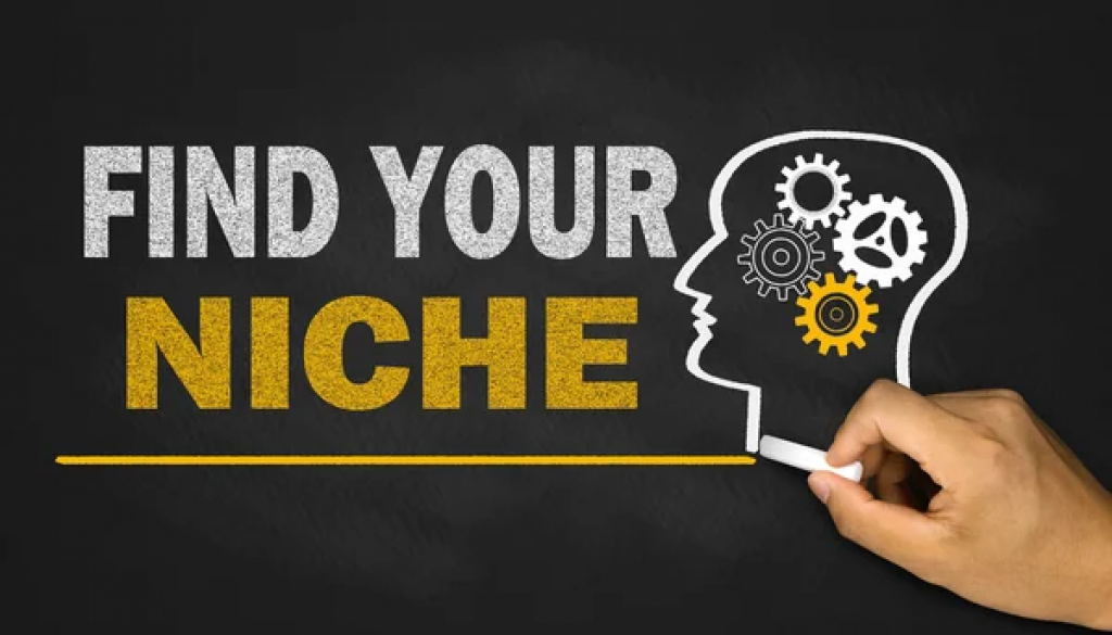 Image saying Find your niche