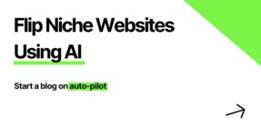 niche website